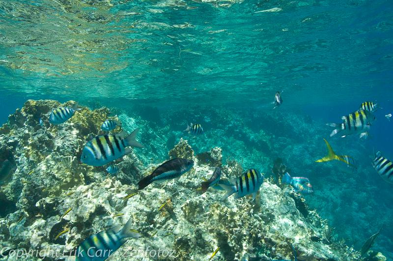 BVI Diving-0010.jpg